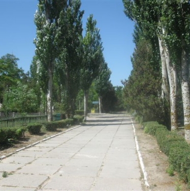 На территории
